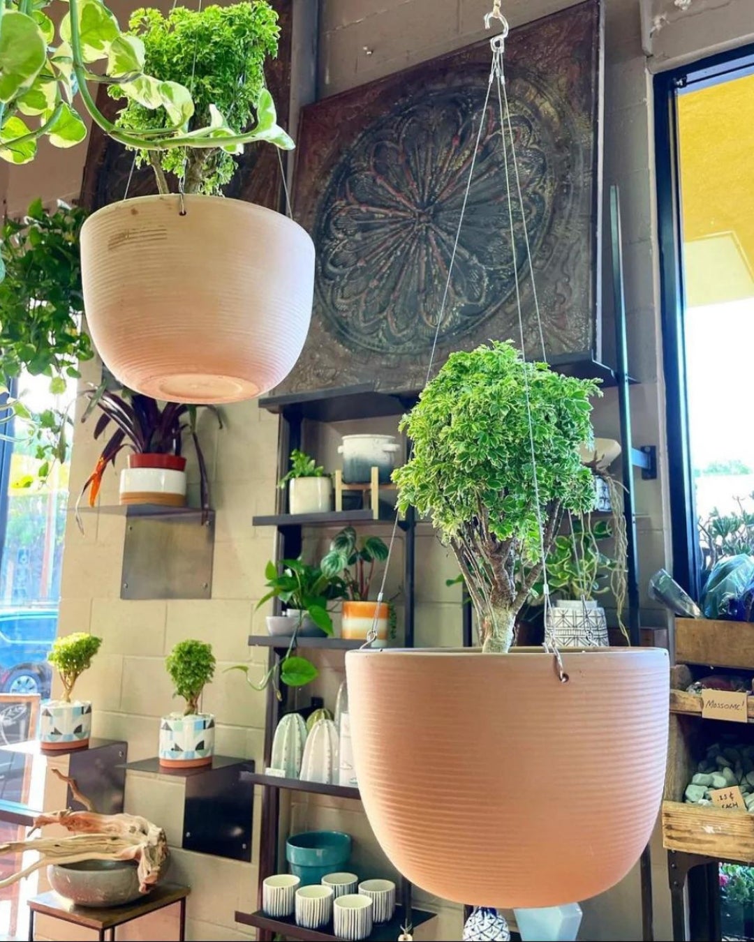 Terracotta Hanging Planters | The Juicy Leaf